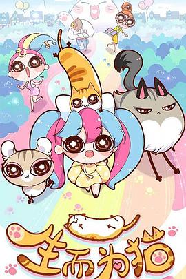 谷歌seo优化分为哪几个步骤